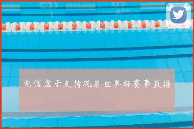 电信盒子支持观看世界杯赛事直播