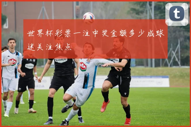 世界杯彩票一注中奖金额多少成球迷关注焦点
