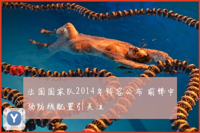 法国国家队2014年阵容公布 前锋中场防线配置引关注