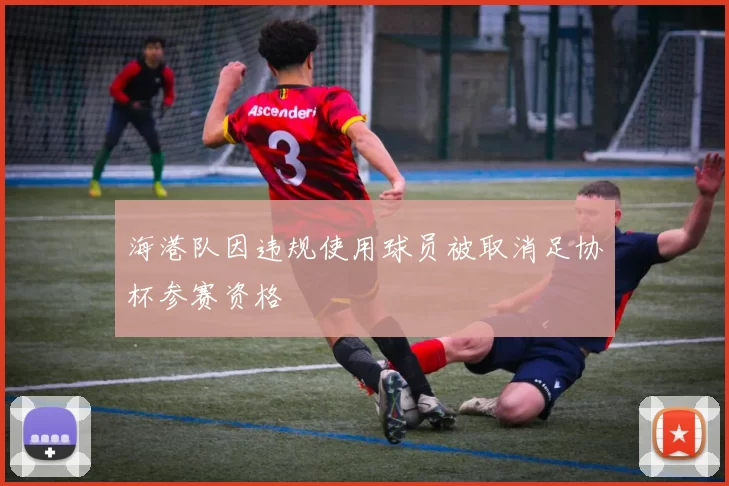 海港队因违规使用球员被取消足协杯参赛资格