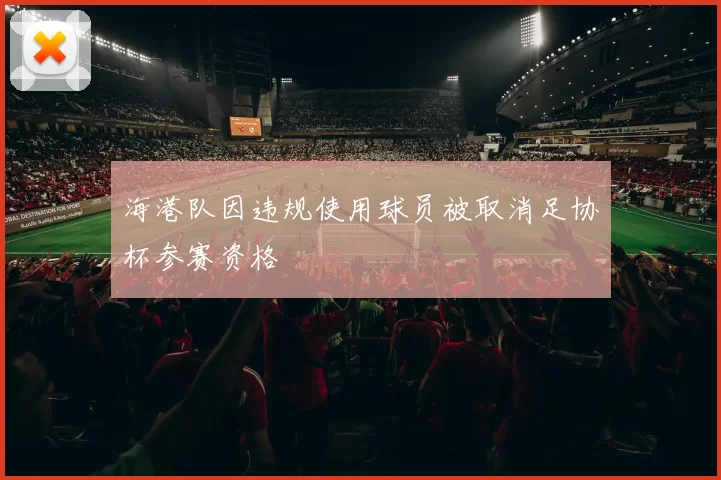 海港队因违规使用球员被取消足协杯参赛资格