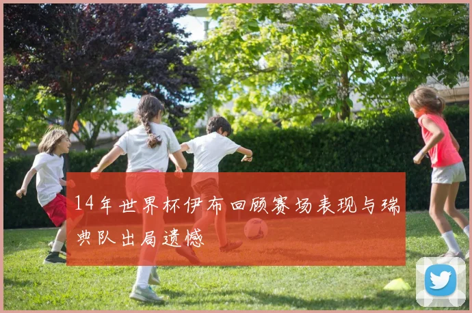 14年世界杯伊布回顾赛场表现与瑞典队出局遗憾